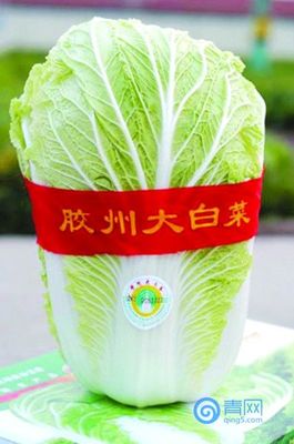 青岛11种农产品入选全国"名特优新" 平度成最大"赢家"_本地_新闻_青网